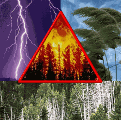 Services fire triangle